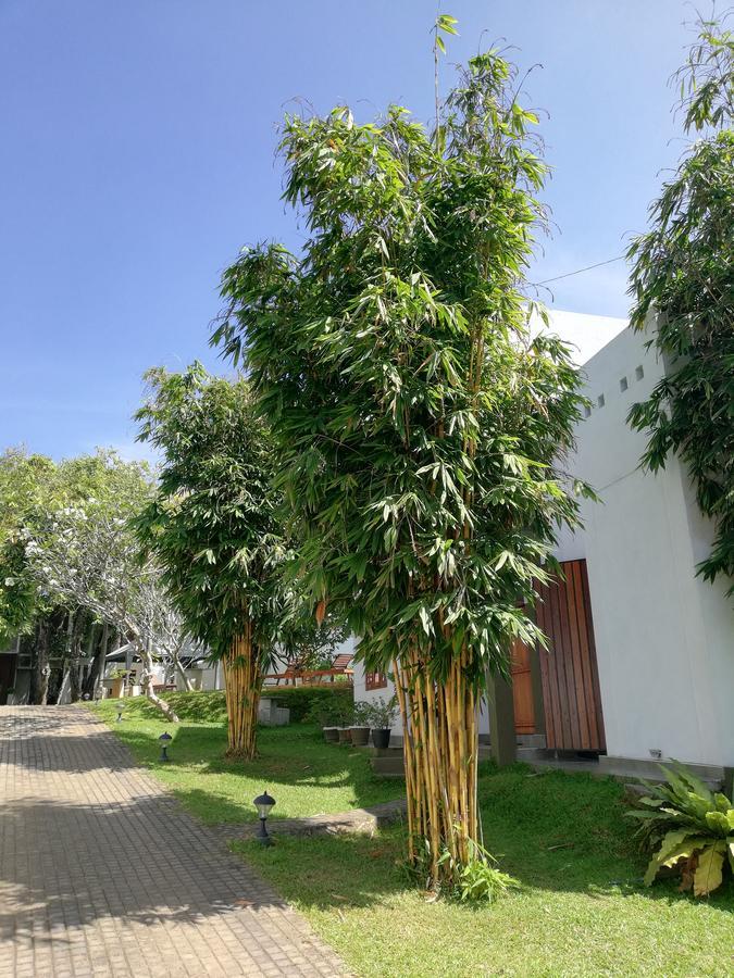 Oak Residencies Villa Кирибатгода Екстериор снимка